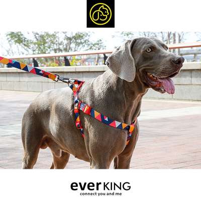 Personalized pattern heat transfer dog walking harness top quality leash harness