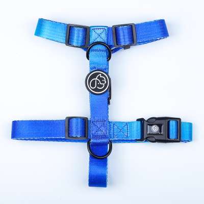 Personalized heat transfer high quality gradient walking dog harness pet products