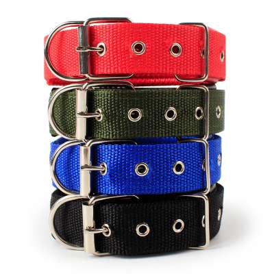 Dogs Application and Stocked Feature dog collar