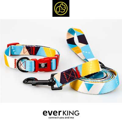 Summer Newest Designs Walking Dog Collar and Leash Set accesorios para mascotas